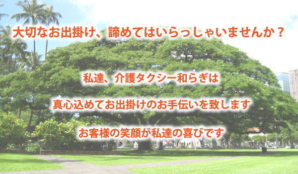 介護タクシー和らぎは真心込めてお出掛けのお手伝いを致します。